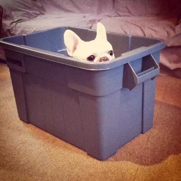 有个喜欢你的女生,有个喜欢的人真好