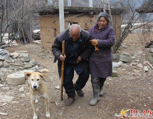 今生就是亲父给你养老尽孝