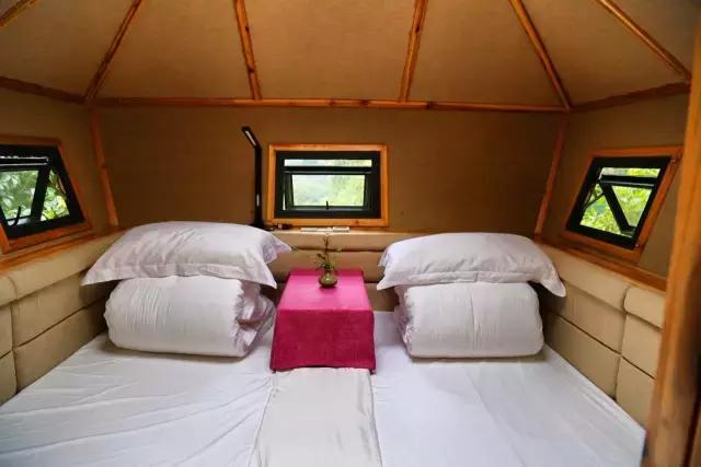 惊！艳！清远这片森林惊现空中吊屋！来过你再也不想回家