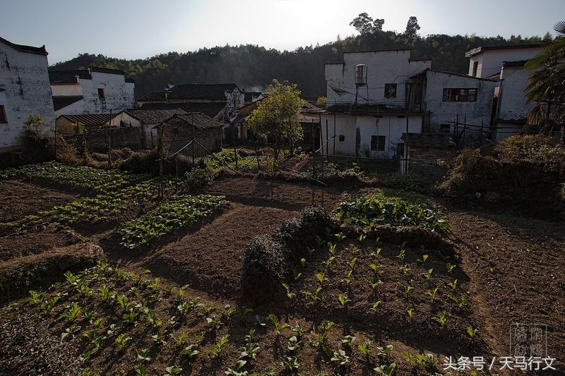 婺源的早晨静谧温馨,冬天的江西婺源