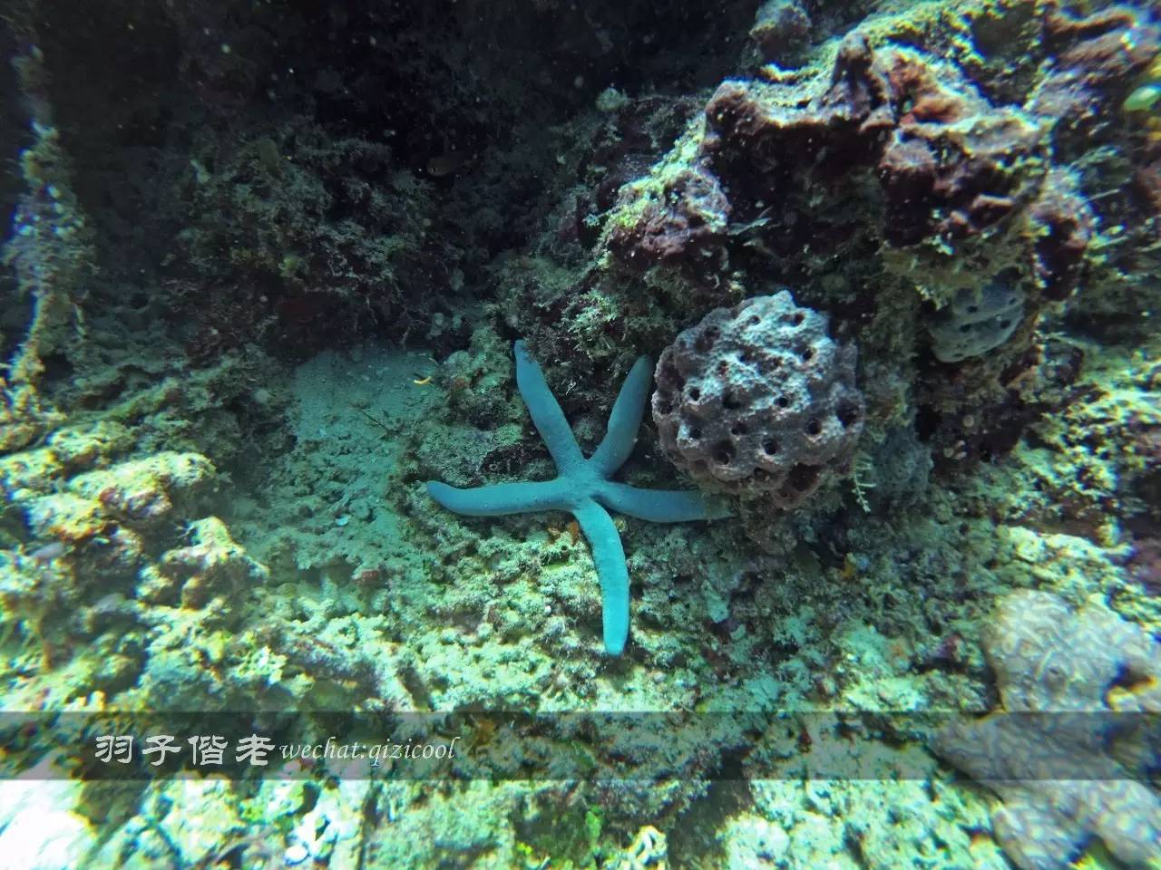 美娜多海岛一日游,印尼美娜多跟团游