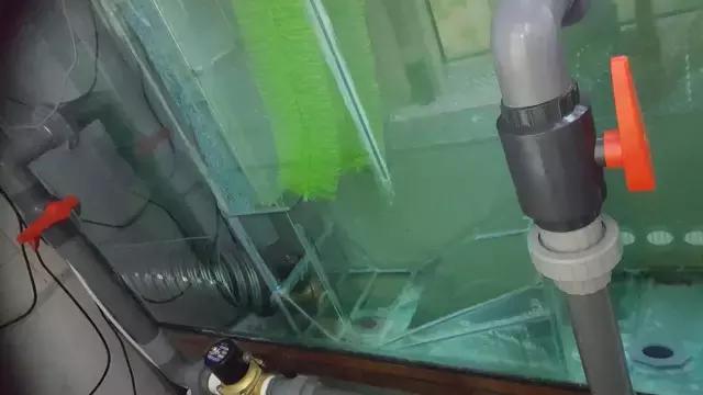 养罗汉鱼侧滤和上滤哪个效果好,双边侧滤鱼缸怎么过滤