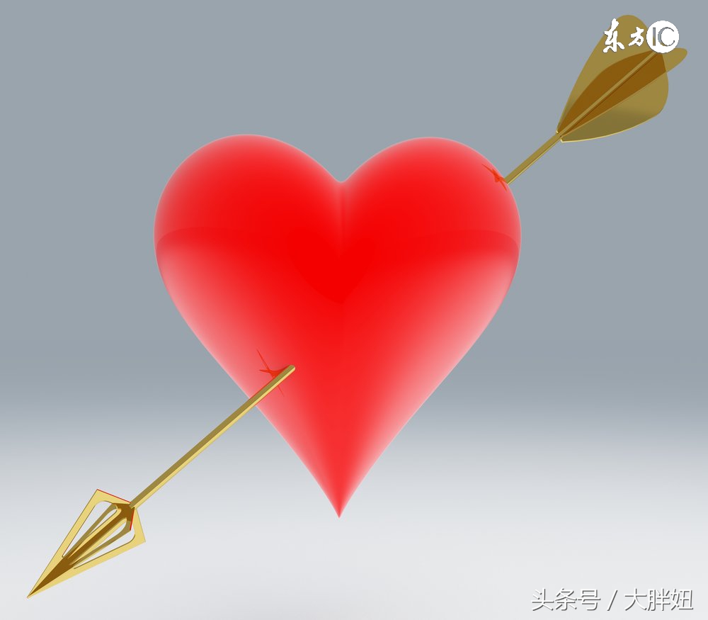 韩之恋木槿花视频,木槿花之恋