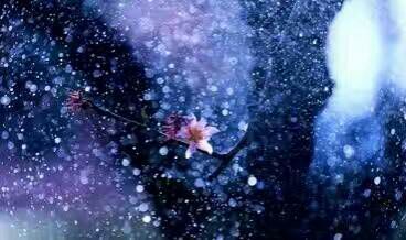 给摄影爱好者的十二条摄影经验,看完这组摄影作品你还淡定吗