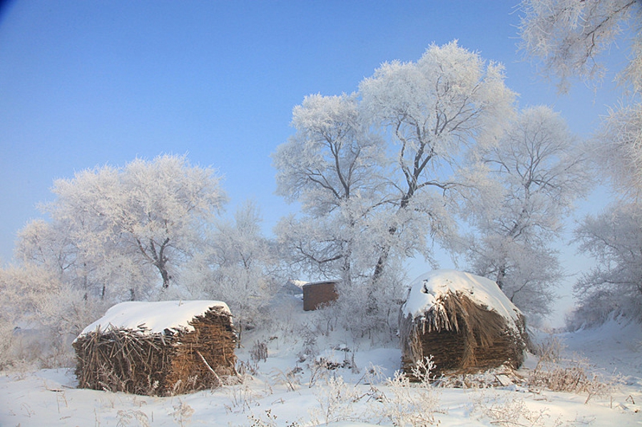 吉林雾凇岛的好看的雾凇倒影图片,吉林雾凇岛和雪谷雾凇岭