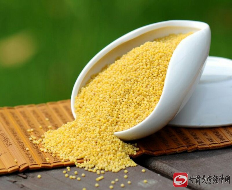 营养农家黄小米,黄小米食疗作用