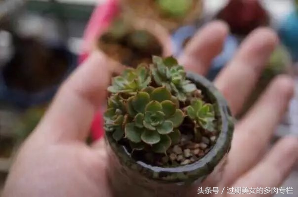 入坑一年小说,入坑一年