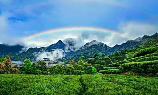 给摄影爱好者的十二条摄影经验,看完这组摄影作品你还淡定吗