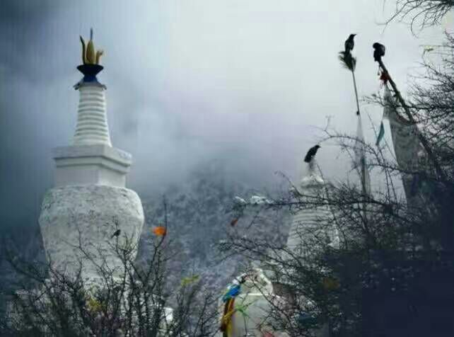 看完这些摄影作品点评，你的摄影技能会有大幅提升