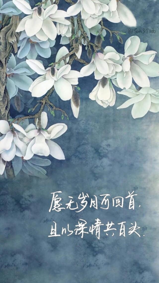 珍藏50张绝美墙纸,花了2000个小时选出十张壁纸