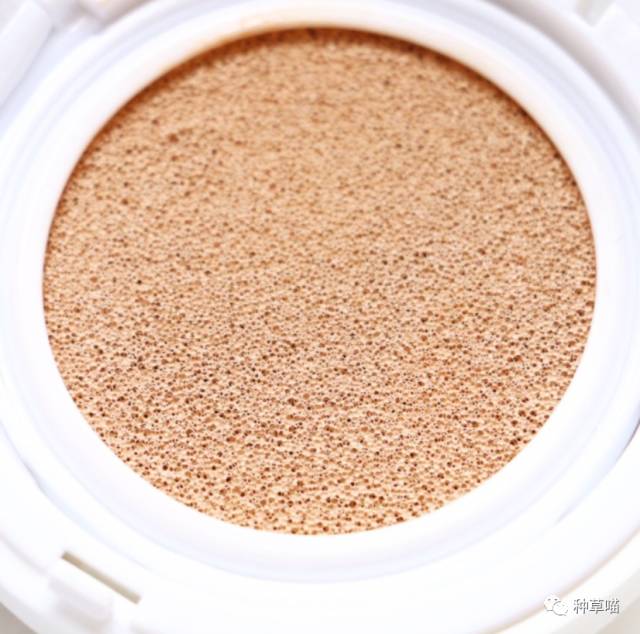 5款又大又好用气垫,五款气垫