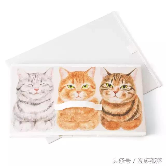 猫控营养补充剂,猫控