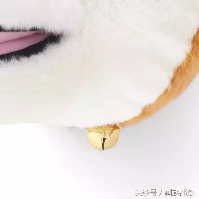 猫控保健,猫控送什么礼物