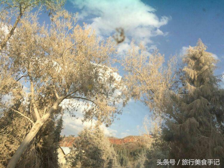 昆明最漂亮的一条路,昆明有一条路堪称奇迹