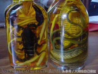 失眠喝点酒就好了?四款家用药酒推荐