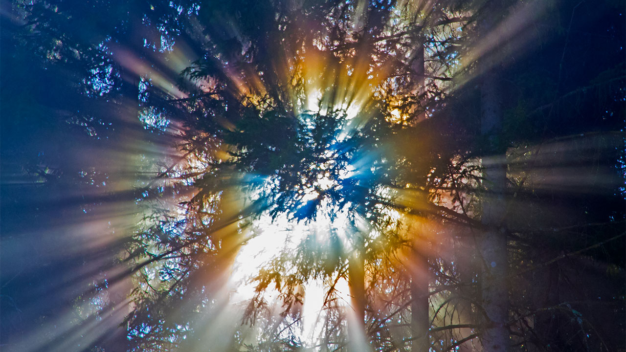 “意淫”未来的世界、未来的人