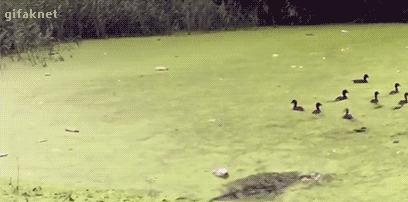 伊布曼联联赛进球,曼联新援伊布首秀倒钩破门