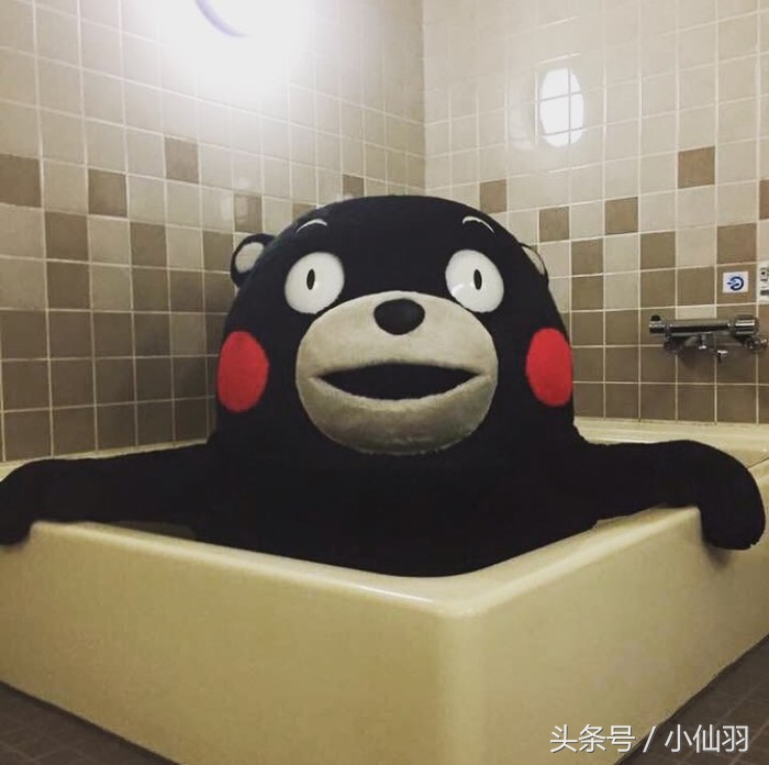 清华大学的女生有多优秀,清华大学女生值得同情吗