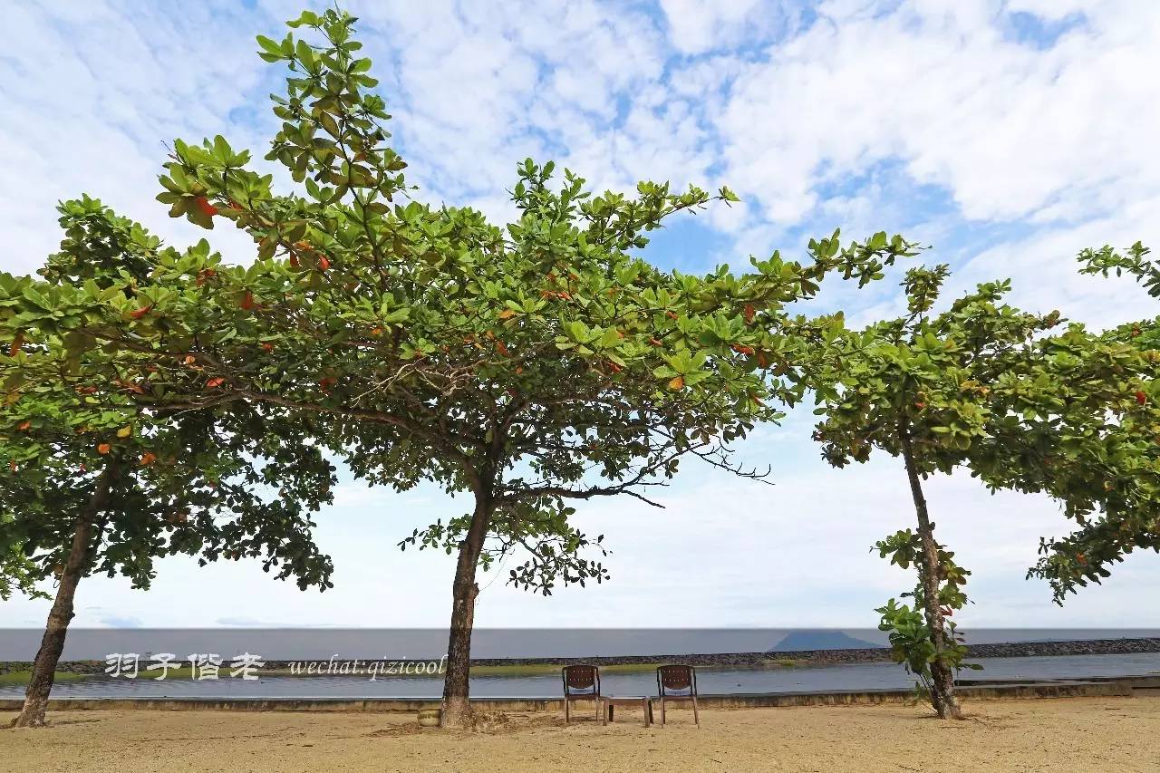 印尼美娜多游玩攻略,美娜多旅行攻略