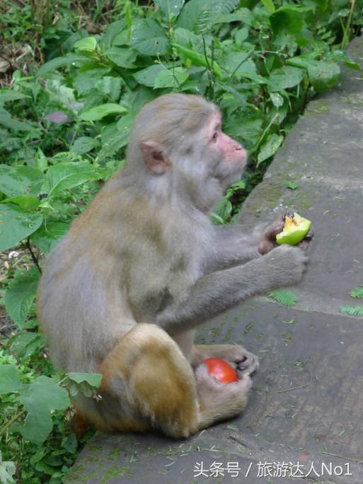 周末旅游攻略,旅游攻略让你的旅行轻松又美好