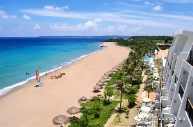 春节花市的鲜花,春节能看花的植物