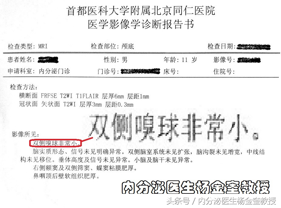 为什么青春期的男孩很臭,嗅觉失灵香臭都闻不到该怎么办