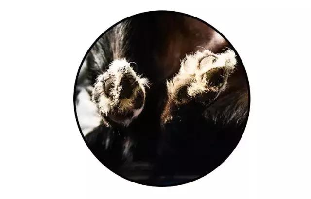 免洗泡沫十大排行榜,免洗泡沫洗手液测评