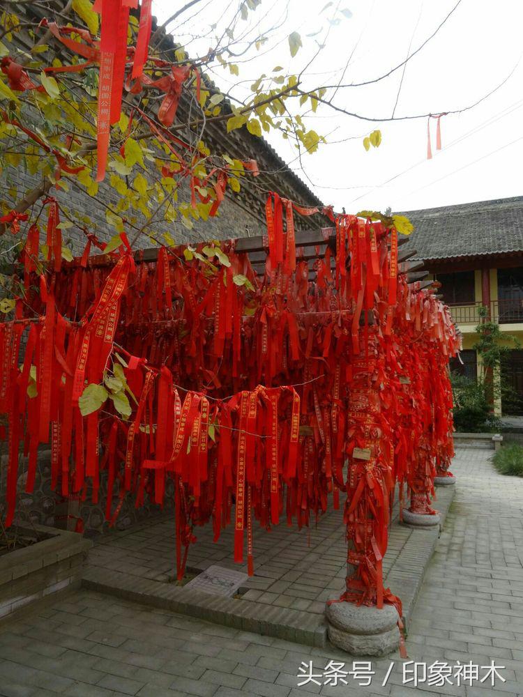 陕北俊俏女子勇闯袁家村大嘴吃四方