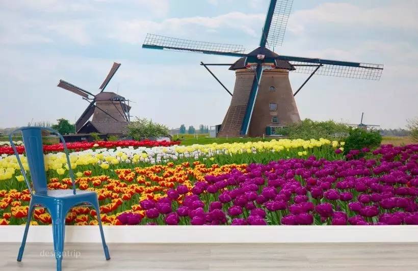 营造“大”空间，3D壁纸也许更是小能手！