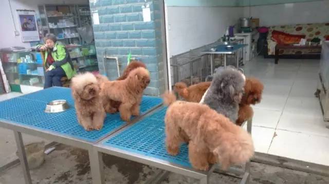 呕心整理！成都人年货采购地点最全攻略都在这！赶紧收藏！