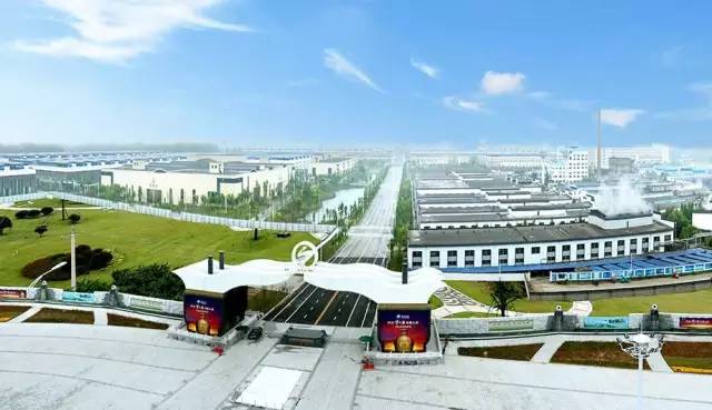 洋河股份上涨10.00%,洋河股份最近为何大涨