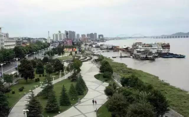 30个好消息新闻,最新上海好消息