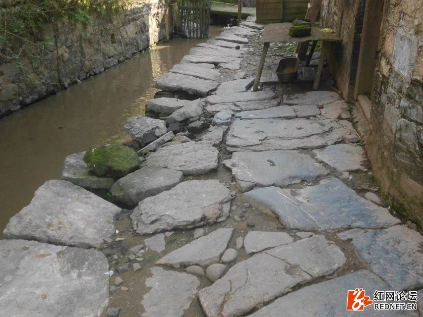 <html>
<head><title>502BadGateway</title></head>
<body>
<center><h1>502BadGateway</h1></center>
<hr><center>nginx</center>
</body>
</html>
<!--apaddingtodisableMSIEandChromefriendlyerrorpage-->
<!--apaddingtodisableMSIEandChromefriendlyerrorpage-->
<!--apaddingtodisableMSIEandChromefriendlyerrorpage-->
<!--apaddingtodisableMSIEandChromefriendlyerrorpage-->
<!--apaddingtodisableMSIEandChromefriendlyerrorpage-->
<!--apaddingtodisableMSIEandChromefriendlyerrorpage-->
