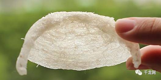 一款不错的燕窝,一款超级好用的燕窝