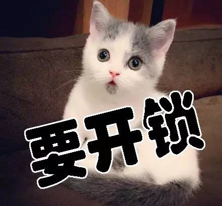 骑共享单车技巧新手必看,如何使用共享单车及费用