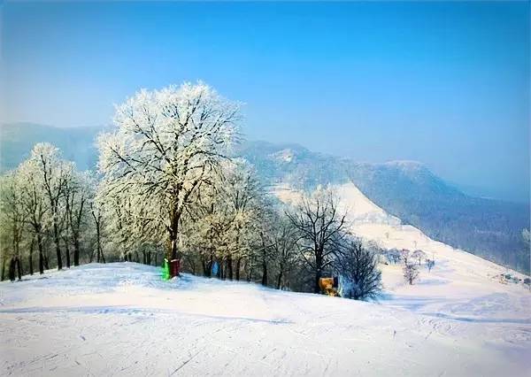 哈尔滨冬天免费玩雪的地方,哈尔滨冰雪旅游春节