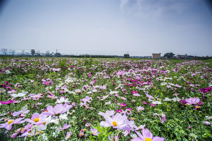 南宁风景区旅游景点排名榜前十名,南宁首批十大特色旅游名镇