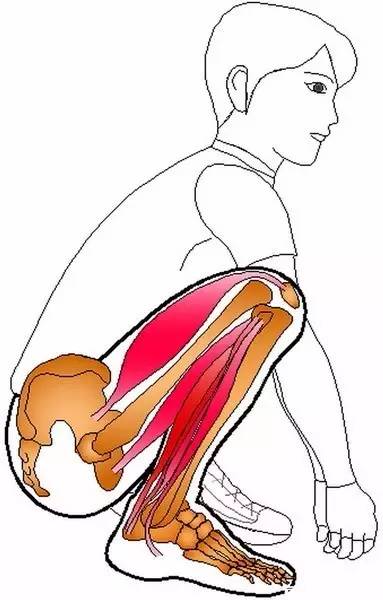 练蛤蟆功的原理,练蛤蟆功视频