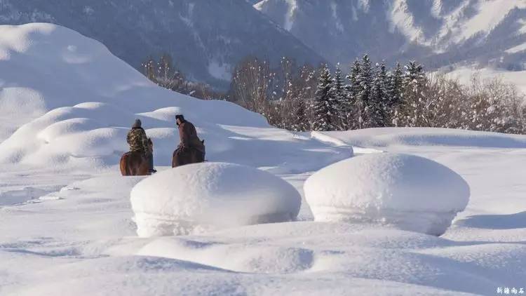 最新喀纳斯禾木视频,新疆喀纳斯禾木冬天视频