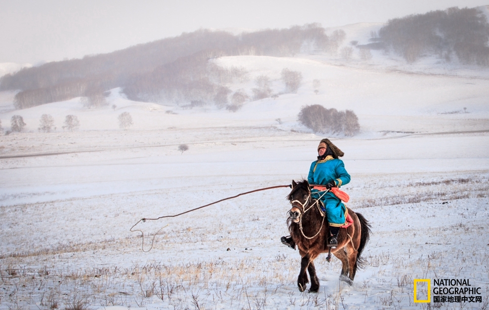 趁冬天还没有来临之前去一趟,一起到坝上去看雪