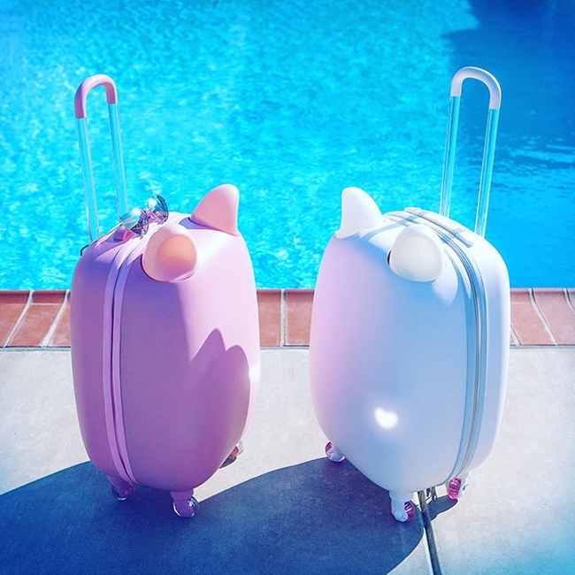 有史以来最可爱梦幻的猫耳朵Fravel行李箱？拥有透明拉杆+会动的猫耳朵