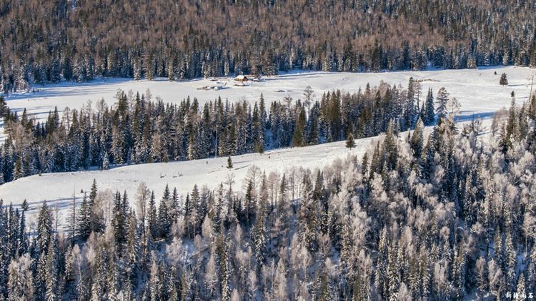 最新喀纳斯禾木视频,新疆喀纳斯禾木冬天视频