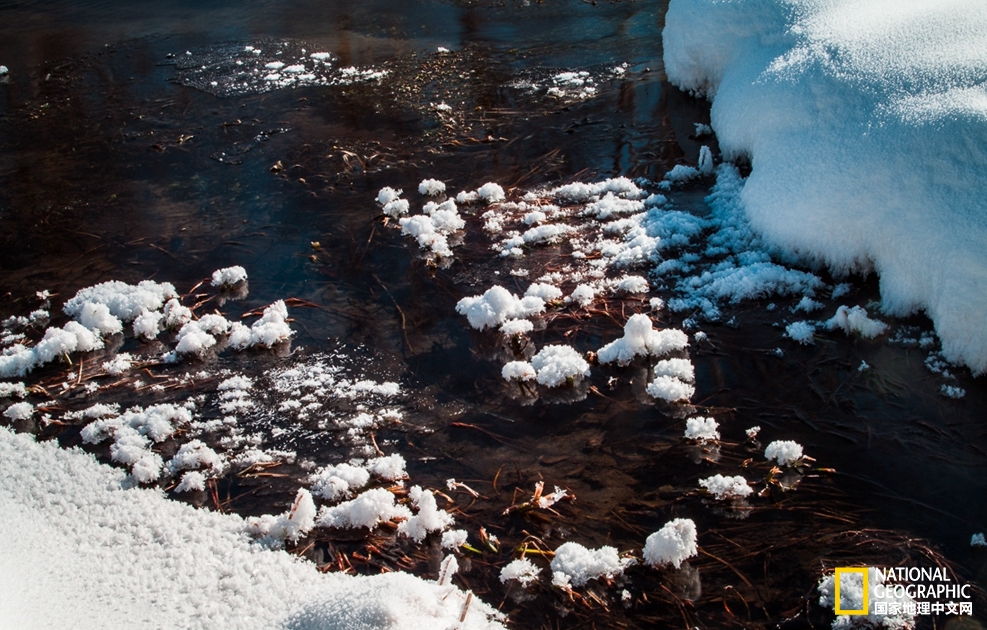 趁冬天还没有来临之前去一趟,一起到坝上去看雪