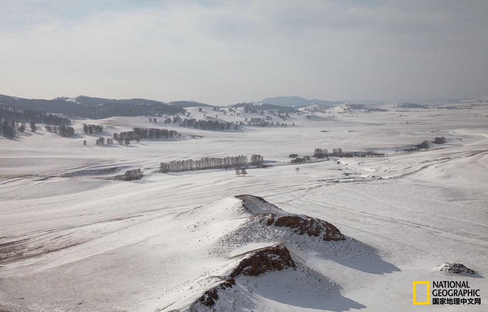 趁冬天还没有来临之前去一趟,一起到坝上去看雪