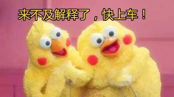 属鸡的人，去这些地方都免费了……