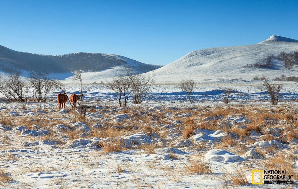 趁冬天还没有来临之前去一趟,一起到坝上去看雪
