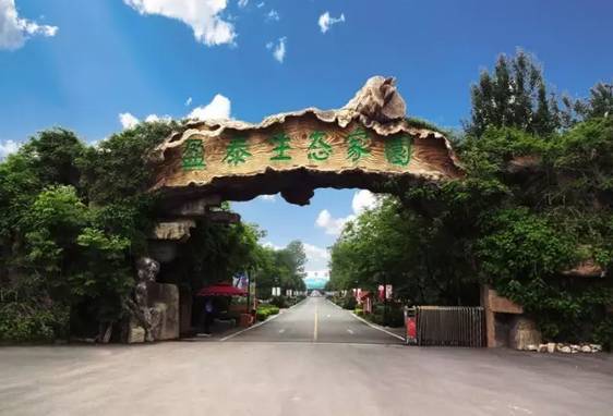 冬游踏雪,冬游沂蒙山