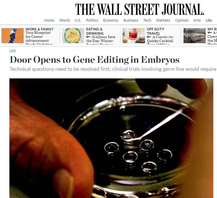 缇庣紪杈戜汉绫昏儦鑳庣爺绌惰璐ㄧ枒,缇庡浗浜虹被鑳氳儙缂栬緫