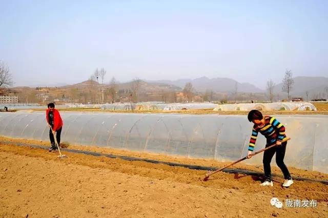 陇南市凝心聚力砥砺前行,陇南奋进新时代