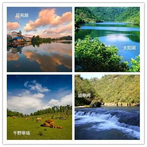 中国最粗壮的石柱,中国最粗壮的天然石柱